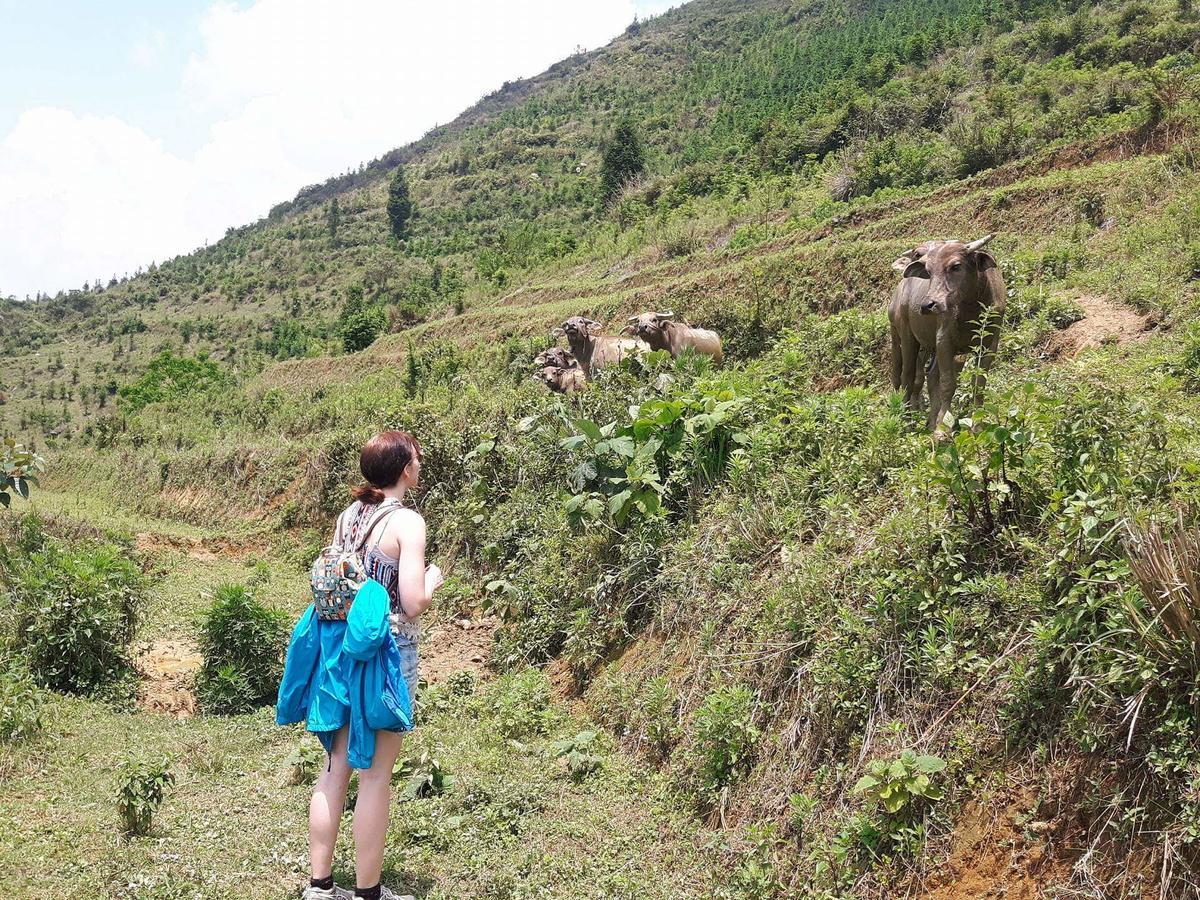 Flower Hmong Homestay Bac Ha  Esterno foto