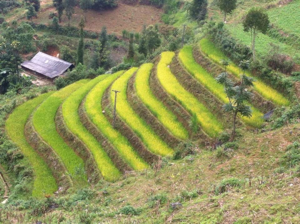 Flower Hmong Homestay Bac Ha  Esterno foto