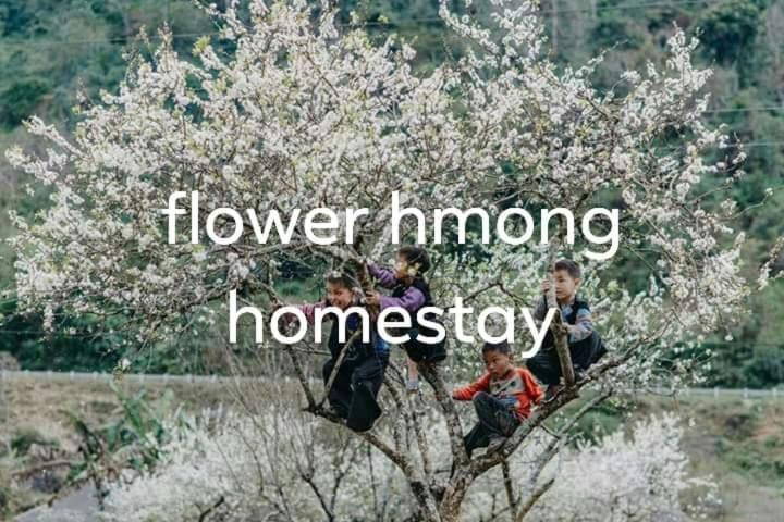 Flower Hmong Homestay Bac Ha  Esterno foto